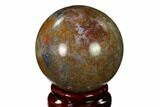 Colorful, Polished Petrified Palm Root Sphere - Indonesia #150146-1